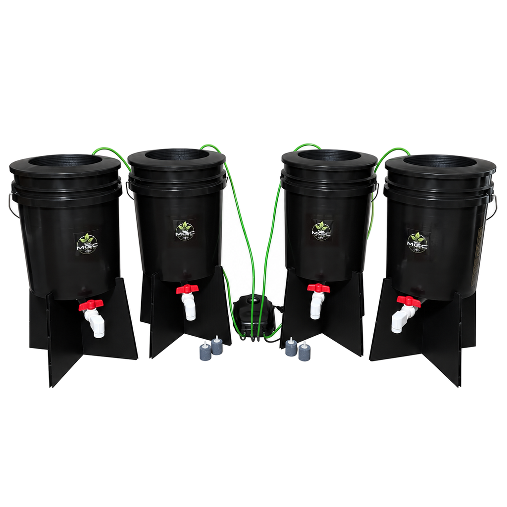 4 Bucket DWC Setup