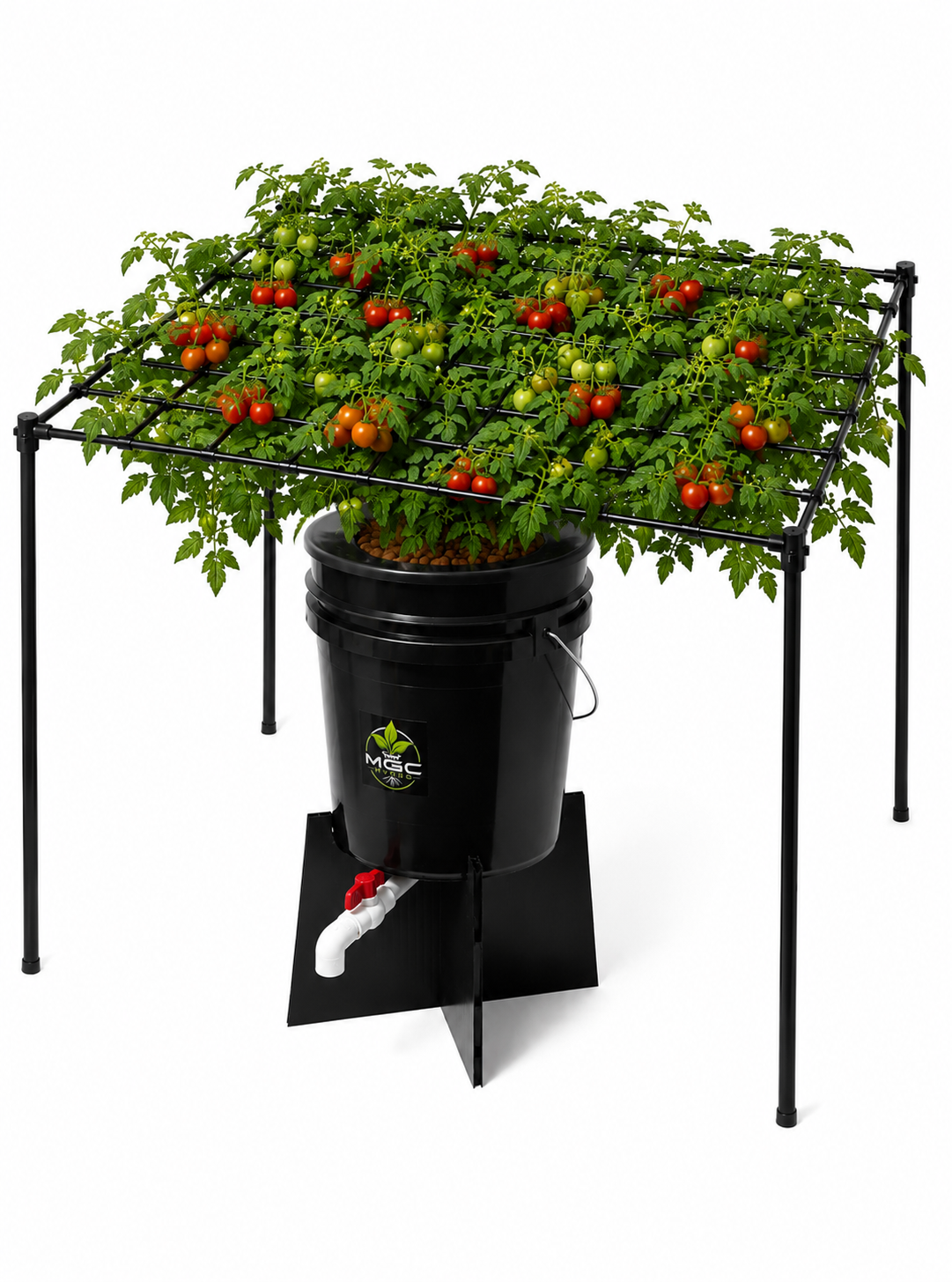 Total DWC 2 Pack Setup