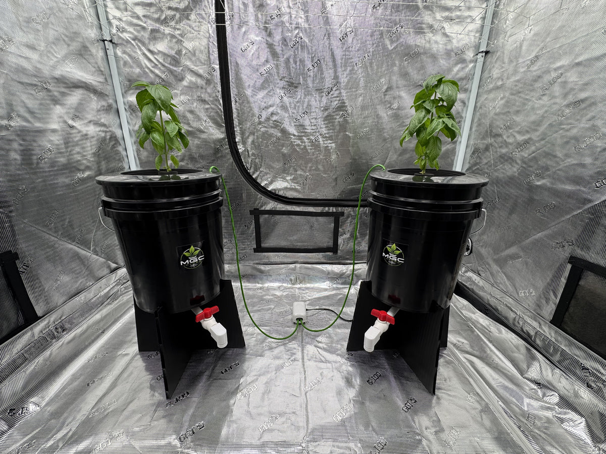 2 Bucket DWC Setup