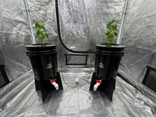 2 Bucket DWC Setup
